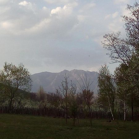Pensiunea Adeluta Călimăneşti Exterior foto