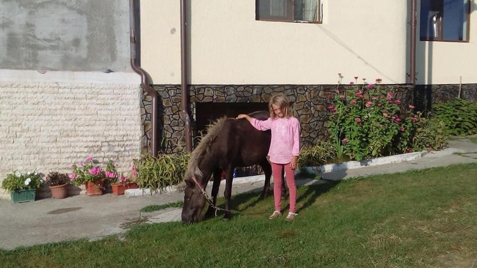 Pensiunea Adeluta Călimăneşti Exterior foto
