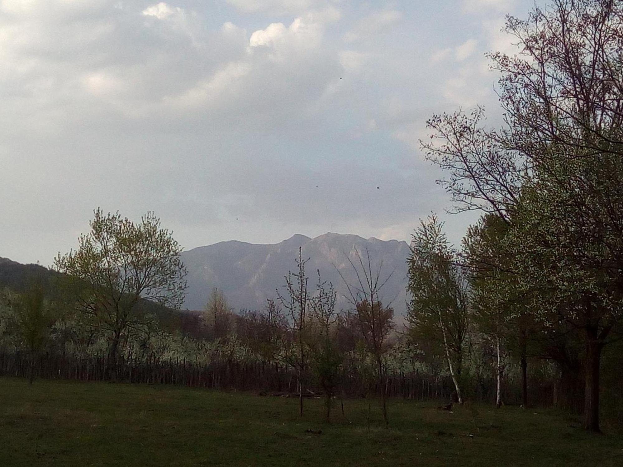 Pensiunea Adeluta Călimăneşti Exterior foto