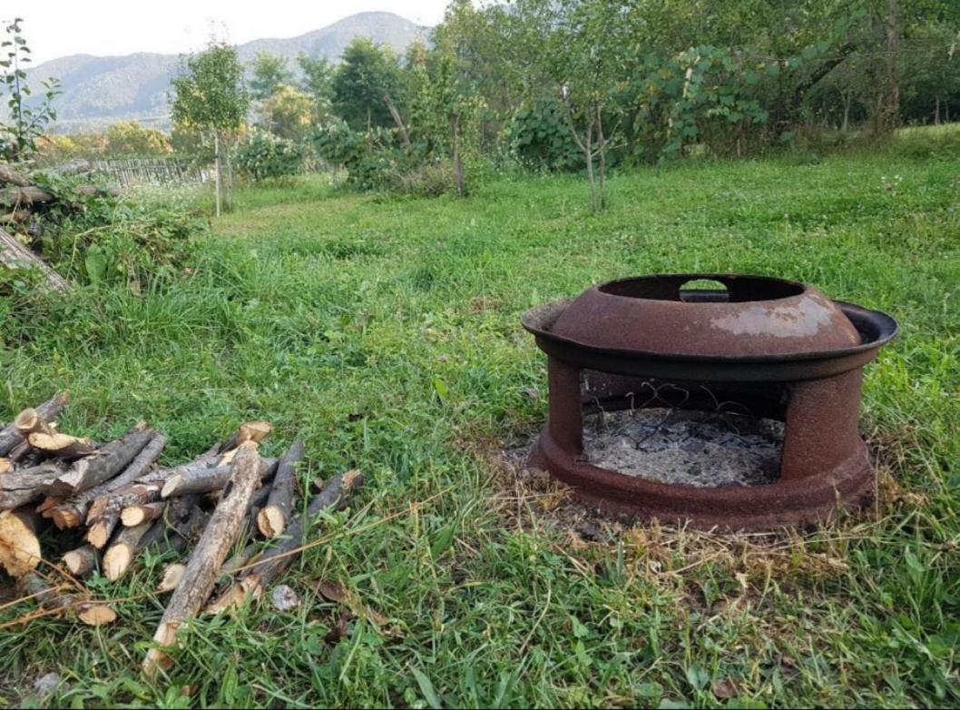 Pensiunea Adeluta Călimăneşti Exterior foto